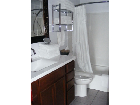 The downstairs bath.