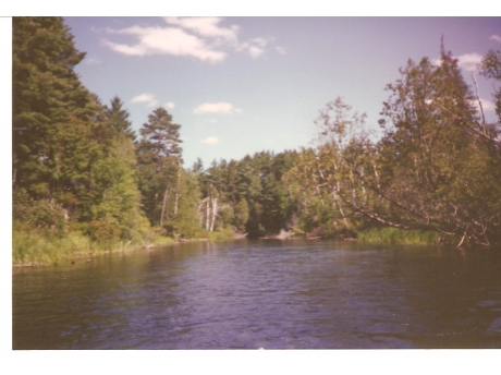 South Branch Au Sable River 