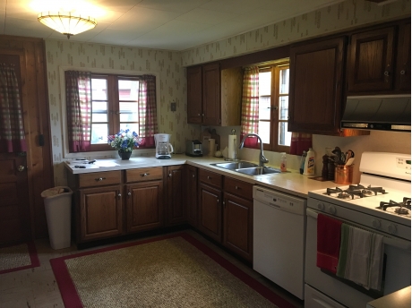 Kitchen view including dish washer/microwave,