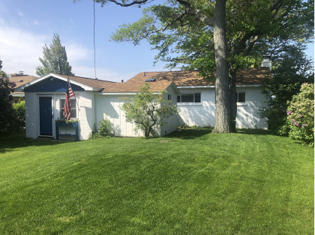 Backyard ringed with lilacs and pines creates privacy