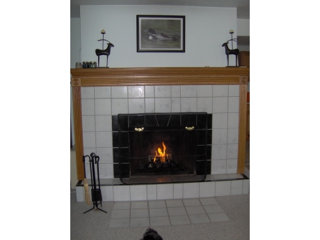 livingroom fireplace